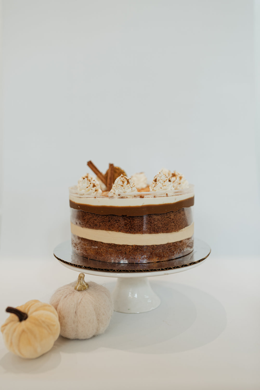 Spiced Carrot Mousse Cake